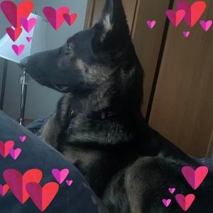 Meet your Posher, Kathryn